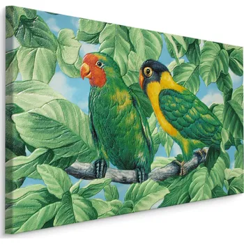 Obraz MyBestHome BOX Plátno Krásné Barevné Papoušky Varianta: 30x20