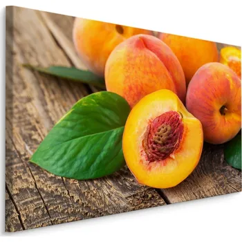 MyBestHome BOX Plátno Broskve Na Dřevě Varianta: 70x50