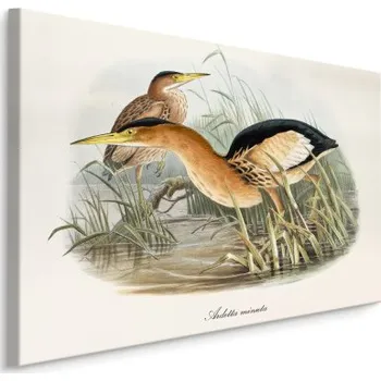 MyBestHome BOX Plátno Vodní Ptáci Varianta: 30x20