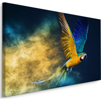 Obraz MyBestHome BOX Plátno Barevný Papoušek Ara Varianta: 30x20