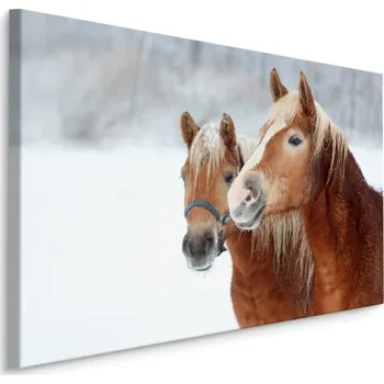 MyBestHome BOX Plátno Koně Ve Sněhu Varianta: 40x30