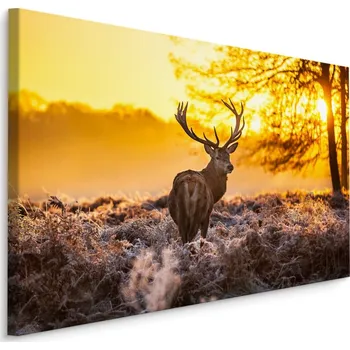 MyBestHome BOX Plátno Jelen V Ranním Slunci Varianta: 30x20