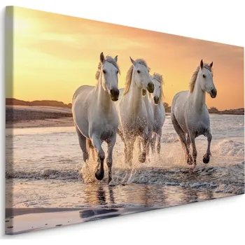 MyBestHome BOX Plátno Koně U Středozemního Moře Varianta: 30x20