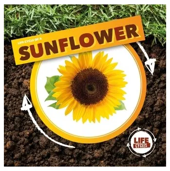 Příroda Life Cycle of a Sunflower - Holmes, Kirsty