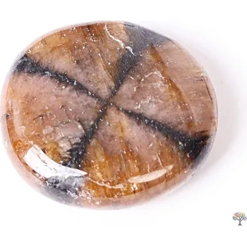 Drahý kámen Magieprirody.cz Hmatka Chiastolit 25 - 35 mm placička #110