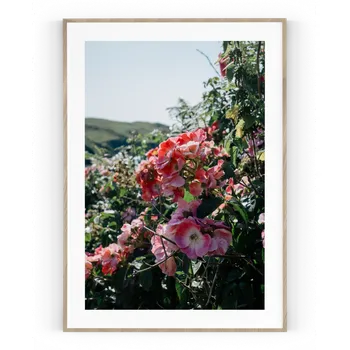 Plakát Plakát / Obraz Balsamina A4 - 21 x 29,7 cm Pololesklý saténový papír