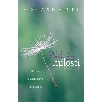 Kniha Pád do milosti Ekniha