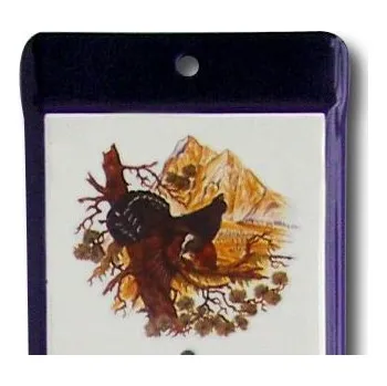 Domácí teploměr Venkovní teploměr smaltovaný, Modrobílý 500 x 95 mm, Motiv Tetřev