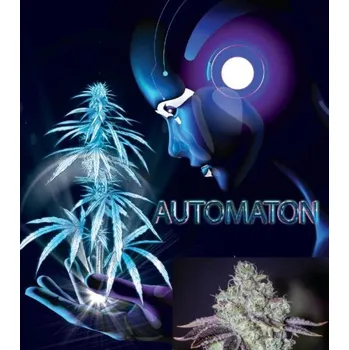 Semeno Nuka Seeds Automaton Auto Balení: 3ks