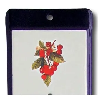 Domácí teploměr Venkovní teploměr smaltovaný, Modrobílý 500 x 95 mm, Motiv Třešně