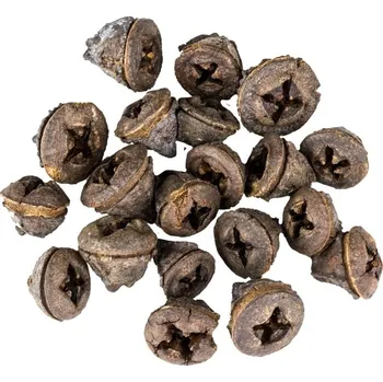 Vánoce Dekorace - Eucalyptus Pod - 20 ks