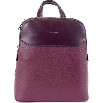 Městský batoh David Jones Paris Dvousekční městský batoh David Jones 6825-1, obsah cca. 8l tmavěčervený