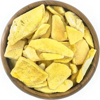 Sušená potravina Zdravoslav Mango lyofilizované 100 g