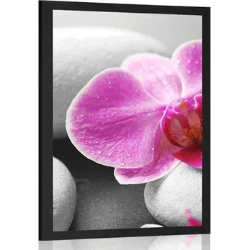 Plakát Dovido Plakát květiny orchideje na bílých kamenech