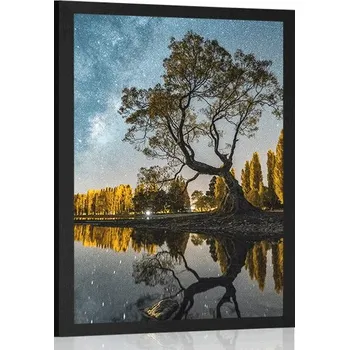 Plakát Dovido Plakát strom pod hvězdnou oblohou