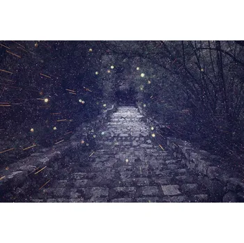 Fototapeta DIMEX | Vliesová fototapeta Tajemná ulička MS-5-1275 | 375 x 250 cm| modrá, černá, šedá + Vliesová fototapeta na stěnu DIMEX Tajemná ulička MS51275 v rozměru 375 x 250 cm + lepidlo zdarma