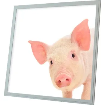 Dětské svítidlo Dekorativní LED svítidlo - LED panel ORTUS - motiv prasátko