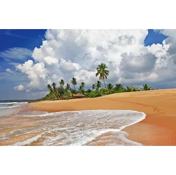 Fototapeta DIMEX | Vliesová fototapeta Divoká pláž Srí Lanky MS-5-3227 | 375 x 250 cm | zelená, bílá, žlutá + Vliesová fototapeta na stěnu DIMEX Divoká pláž Srí Lanky MS53227 v rozměru 375 x 250 cm + lepidlo zdarma