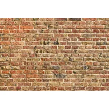Fototapeta DIMEX | Vliesová fototapeta Zeď z červených cihel MS-5-2686 | 375 x 250 cm | oranžová, hnědá + Vliesová fototapeta na stěnu DIMEX Zeď z červených cihel MS52686 v rozměru 375 x 250 cm + lepidlo zdarma