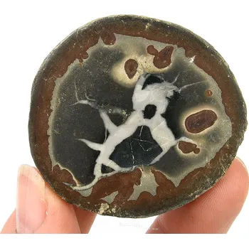 Přírodní kámen Fosilní septarie polovina (Maroko) 58g