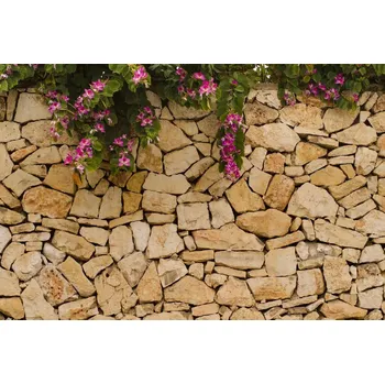 Fototapeta DIMEX | Vliesová fototapeta Kamenná zeď s květy MS-5-2382 | 375 x 250 cm| fialová, hnědá + Vliesová fototapeta na stěnu DIMEX Kamenná zeď s květy MS52382 v rozměru 375 x 250 cm + lepidlo zdarma