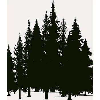 Plakát Plakát, Obraz - Tannenwald, Kubistika