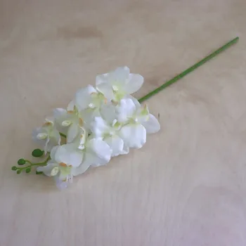 Umělá květina Morex Umělá orchidej 10 x 5 cm