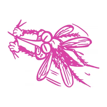 Samolepící dekorace Komár 002 levá (16 - růžová) SAMOLEPKA NA AUTO, NÁLEPKA, FÓLIE, POLEP, TUNING, VLASTNÍ TEXT, TISK, AUTOSAMOLEPKY.cz, POLEPY, OBRÁZEK, LOGO, 3D STICKERS