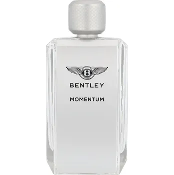 Pánský parfém Bentley Bentley Momentum, Toaletní voda 100ml Toaletní voda Pre mužov