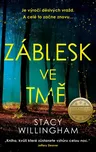 Záblesk ve tmě - Stacy Willingham…