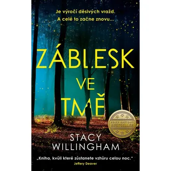 Záblesk ve tmě - Stacy Willingham…