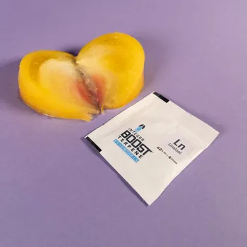 Pohlcovač vlhkosti Integra Boost Terpene Essentials Linalool 4g, 62%, 1 ks (Integra Boost® Terpene Essentials Linalool. Hmotnost 4 g, vlhkost 62 %, balení 1 ks.)