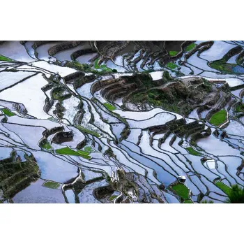 Fototapeta DIMEX | Vliesová fototapeta Rýžová terasovitá pole MS-5-1827 | 375 x 250 cm| zelená, bílá, černá + Vliesová fototapeta na stěnu DIMEX Rýžová terasovitá pole MS51827 v rozměru 375 x 250 cm + lepidlo zdarma