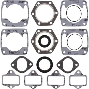 Těsnění motoru Winderosa sada těsnění motoru (s olejovým těsněním) Jlo-cuyuna 2F400/2 6 Bolt Head Electric FC/2