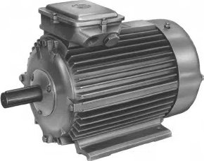 MEZ elektromotor - 40,00 kW (F280S08)
