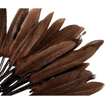 Nástroj na niť a příze Kachní peří (5ks), hnědá, délka 9-14 cm