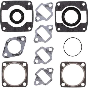 Těsnění motoru Winderosa sada těsnění motoru (s olejovým těsněním) Jlo-cuyuna 440/2 4 Bolt Head Electric FC/2