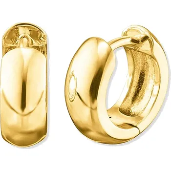 Šperk Engelsrufer Pozlacené stříbrné náušnice kruhy Anna ERE-ANNA-G-CR + 2 měsíce na vrácení zboží