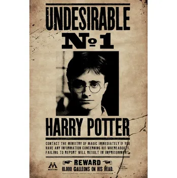 Plakát Plakát, Obraz - Harry Potter - Undesirable No 1