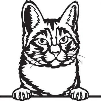 Vsepropejska Manská kočka dřevěná dekorace na zeď Rozměr (cm): 38 x 38