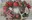 Goba Vánoční prostírání plastové 28 x 43 cm, věnec