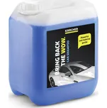 Kärcher KÄRCHER Autošampon (10 l)
