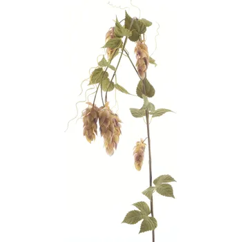 umělá květina umělá květina, Velký chmelový květ x5 / s listy zelená V175 cm