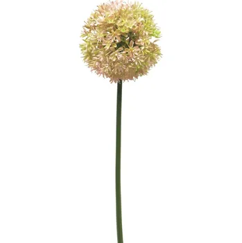 umělá květina Umělé květina, Česnek okrasný - Allium Natasja růžová V72 cm