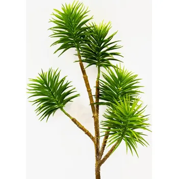 umělá květina umělý sukulent, Sukulent - Succulent Kirk x5 zelený V68 cm