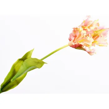 umělá květina Umělé květina, Tulipán stonek růžový/krémový 71 cm