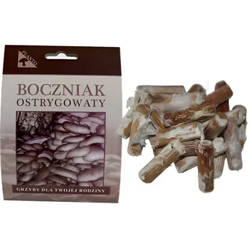 Substrát Planto Hlíva ústřičná podhoubí na kolících 20 ks