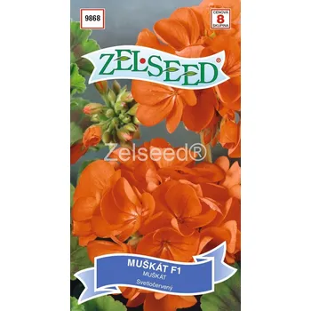 Semeno Pelargonie páskatá (muškát) F1 (světle červená)