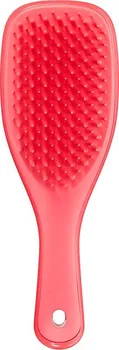 Tangle Teezer Wet Detangler Mini