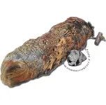 Aport Bracco Dummy Bažant s peřím Zesílený Váha: 500g